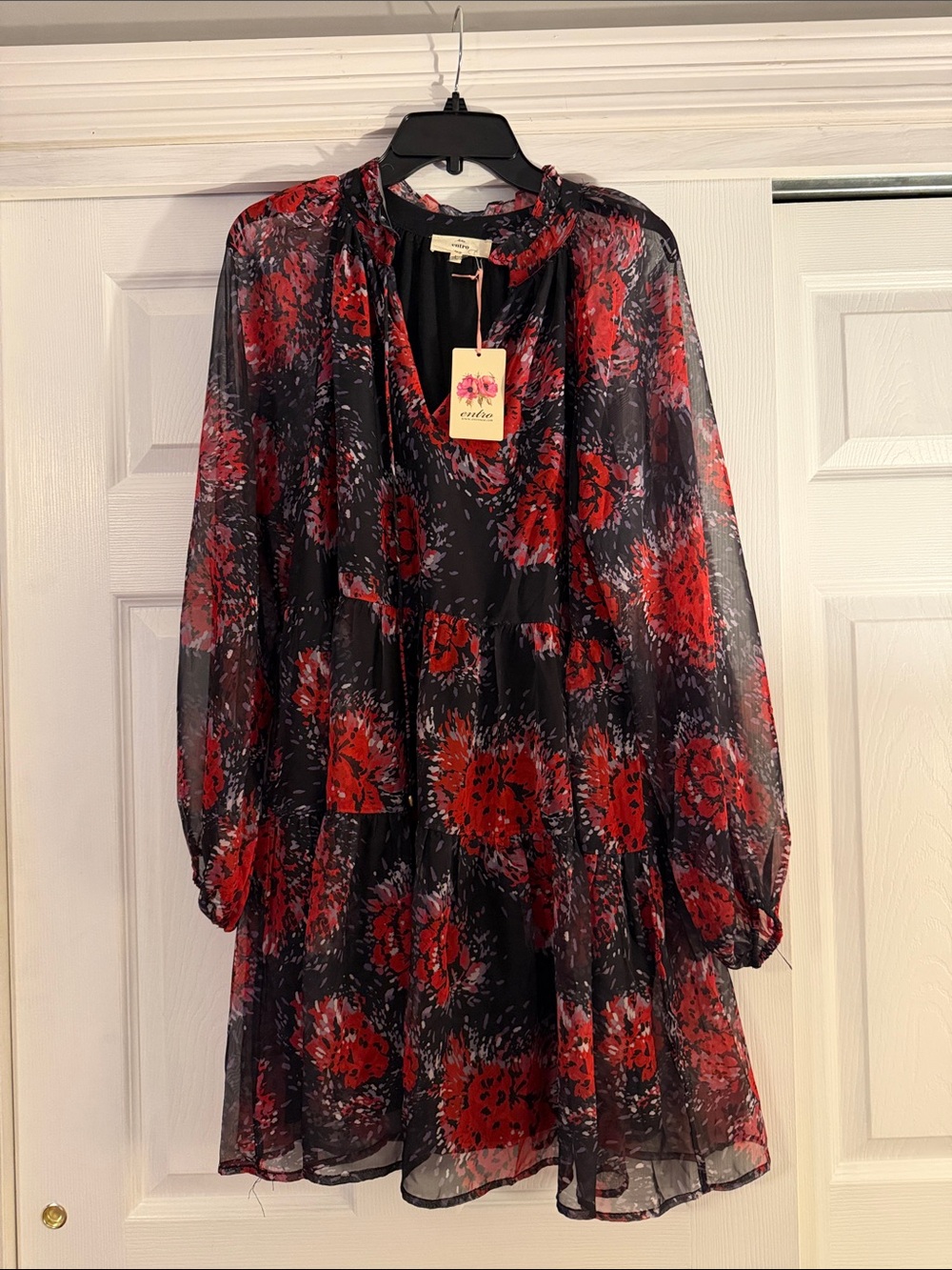 entro Black Long-Sleeve Dress with Red Floral Print